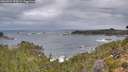 ./images/calvert/foggy-cove/20260922/foggy-cove20260922_074502M.jpg