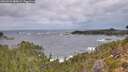 ./images/calvert/foggy-cove/20260922/foggy-cove20260922_080002M.jpg