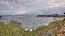 ./images/calvert/foggy-cove/20260922/foggy-cove20260922_080501M.jpg