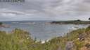 ./images/calvert/foggy-cove/20260922/foggy-cove20260922_082001M.jpg