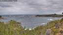 ./images/calvert/foggy-cove/20260922/foggy-cove20260922_082502M.jpg