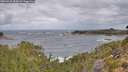 ./images/calvert/foggy-cove/20260922/foggy-cove20260922_083001M.jpg