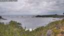 ./images/calvert/foggy-cove/20260922/foggy-cove20260922_084001M.jpg