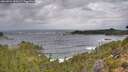 ./images/calvert/foggy-cove/20260922/foggy-cove20260922_090501M.jpg