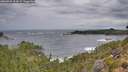 ./images/calvert/foggy-cove/20260922/foggy-cove20260922_093002M.jpg