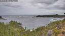 ./images/calvert/foggy-cove/20260922/foggy-cove20260922_093501M.jpg
