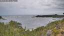 ./images/calvert/foggy-cove/20260922/foggy-cove20260922_094502M.jpg