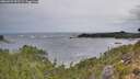 ./images/calvert/foggy-cove/20260922/foggy-cove20260922_095501M.jpg