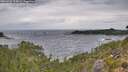 ./images/calvert/foggy-cove/20260922/foggy-cove20260922_110002M.jpg