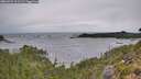 ./images/calvert/foggy-cove/20260922/foggy-cove20260922_111501M.jpg