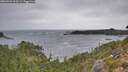 ./images/calvert/foggy-cove/20260922/foggy-cove20260922_113501M.jpg