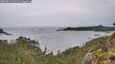 ./images/calvert/foggy-cove/20260922/foggy-cove20260922_131501M.jpg
