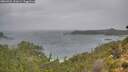 ./images/calvert/foggy-cove/20260922/foggy-cove20260922_151001M.jpg