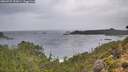 ./images/calvert/foggy-cove/20260922/foggy-cove20260922_153001M.jpg