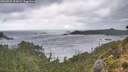 ./images/calvert/foggy-cove/20260922/foggy-cove20260922_154501M.jpg