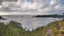 ./images/calvert/foggy-cove/20260922/foggy-cove20260922_171501M.jpg