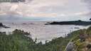 ./images/calvert/foggy-cove/20260923/foggy-cove20260923_085501M.jpg