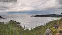./images/calvert/foggy-cove/20260923/foggy-cove20260923_093001M.jpg
