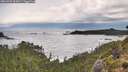 ./images/calvert/foggy-cove/20260923/foggy-cove20260923_095001M.jpg
