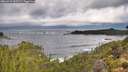 ./images/calvert/foggy-cove/20260923/foggy-cove20260923_100501M.jpg