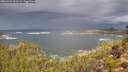./images/calvert/foggy-cove/20260923/foggy-cove20260923_111501M.jpg