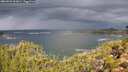 ./images/calvert/foggy-cove/20260923/foggy-cove20260923_112001M.jpg
