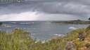 ./images/calvert/foggy-cove/20260923/foggy-cove20260923_112501M.jpg