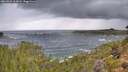 ./images/calvert/foggy-cove/20260923/foggy-cove20260923_113001M.jpg