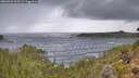 ./images/calvert/foggy-cove/20260923/foggy-cove20260923_113501M.jpg