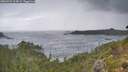 ./images/calvert/foggy-cove/20260923/foggy-cove20260923_114501M.jpg