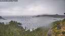 ./images/calvert/foggy-cove/20260923/foggy-cove20260923_115001M.jpg