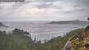 ./images/calvert/foggy-cove/20260923/foggy-cove20260923_121001M.jpg
