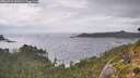 ./images/calvert/foggy-cove/20260923/foggy-cove20260923_122001M.jpg