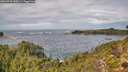 ./images/calvert/foggy-cove/20260923/foggy-cove20260923_130001M.jpg