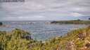 ./images/calvert/foggy-cove/20260923/foggy-cove20260923_130502M.jpg