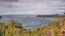 ./images/calvert/foggy-cove/20260923/foggy-cove20260923_131001M.jpg