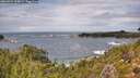 ./images/calvert/foggy-cove/20260923/foggy-cove20260923_134001M.jpg