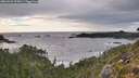 ./images/calvert/foggy-cove/20260923/foggy-cove20260923_175001M.jpg