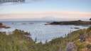 ./images/calvert/foggy-cove/20260924/foggy-cove20260924_074501M.jpg