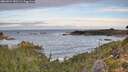 ./images/calvert/foggy-cove/20260924/foggy-cove20260924_080502M.jpg