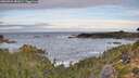 ./images/calvert/foggy-cove/20260924/foggy-cove20260924_081001M.jpg