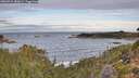 ./images/calvert/foggy-cove/20260924/foggy-cove20260924_082001M.jpg