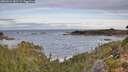 ./images/calvert/foggy-cove/20260924/foggy-cove20260924_082502M.jpg
