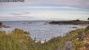 ./images/calvert/foggy-cove/20260924/foggy-cove20260924_084001M.jpg