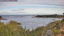 ./images/calvert/foggy-cove/20260924/foggy-cove20260924_084501M.jpg