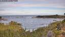 ./images/calvert/foggy-cove/20260924/foggy-cove20260924_090001M.jpg