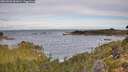./images/calvert/foggy-cove/20260924/foggy-cove20260924_091001M.jpg