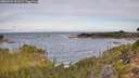 ./images/calvert/foggy-cove/20260924/foggy-cove20260924_092001M.jpg