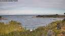 ./images/calvert/foggy-cove/20260924/foggy-cove20260924_092501M.jpg