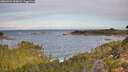 ./images/calvert/foggy-cove/20260924/foggy-cove20260924_093001M.jpg